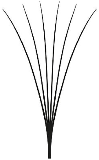 LASH beLONG Easy Volume Lashes 6D - MIX-Box D-Curl