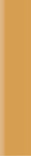 Hair Touch Up Root Concealer
