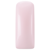 Magnetic Blushes Color