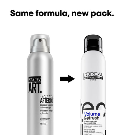 L'Oréal Tecni.ART Shampooing sec Volume Refresh